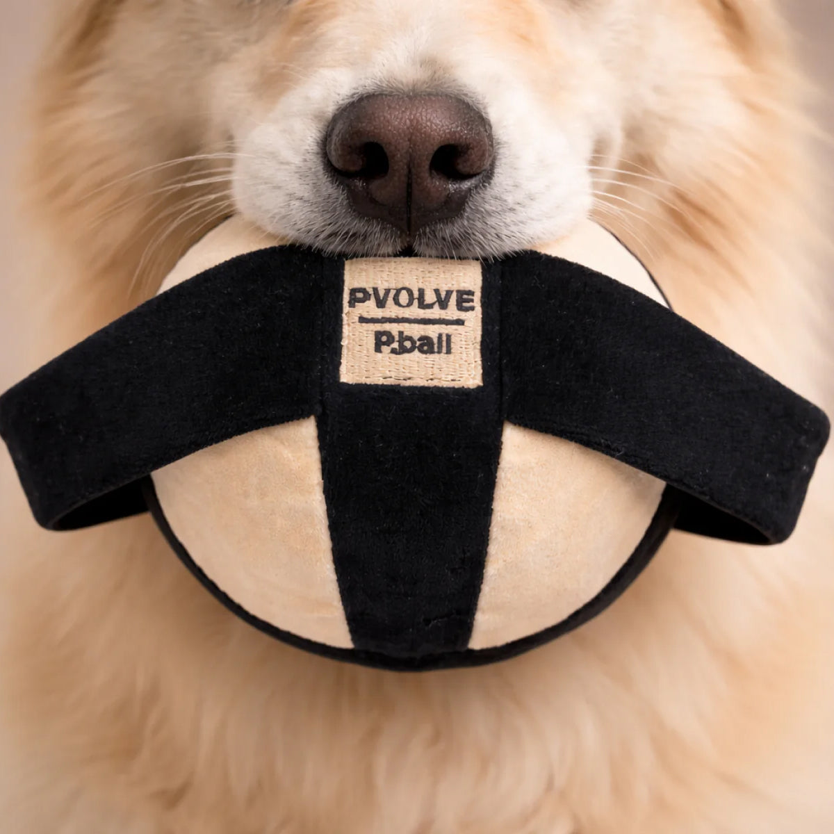 Limited Edition PVOLVE Pet Toy P.ball