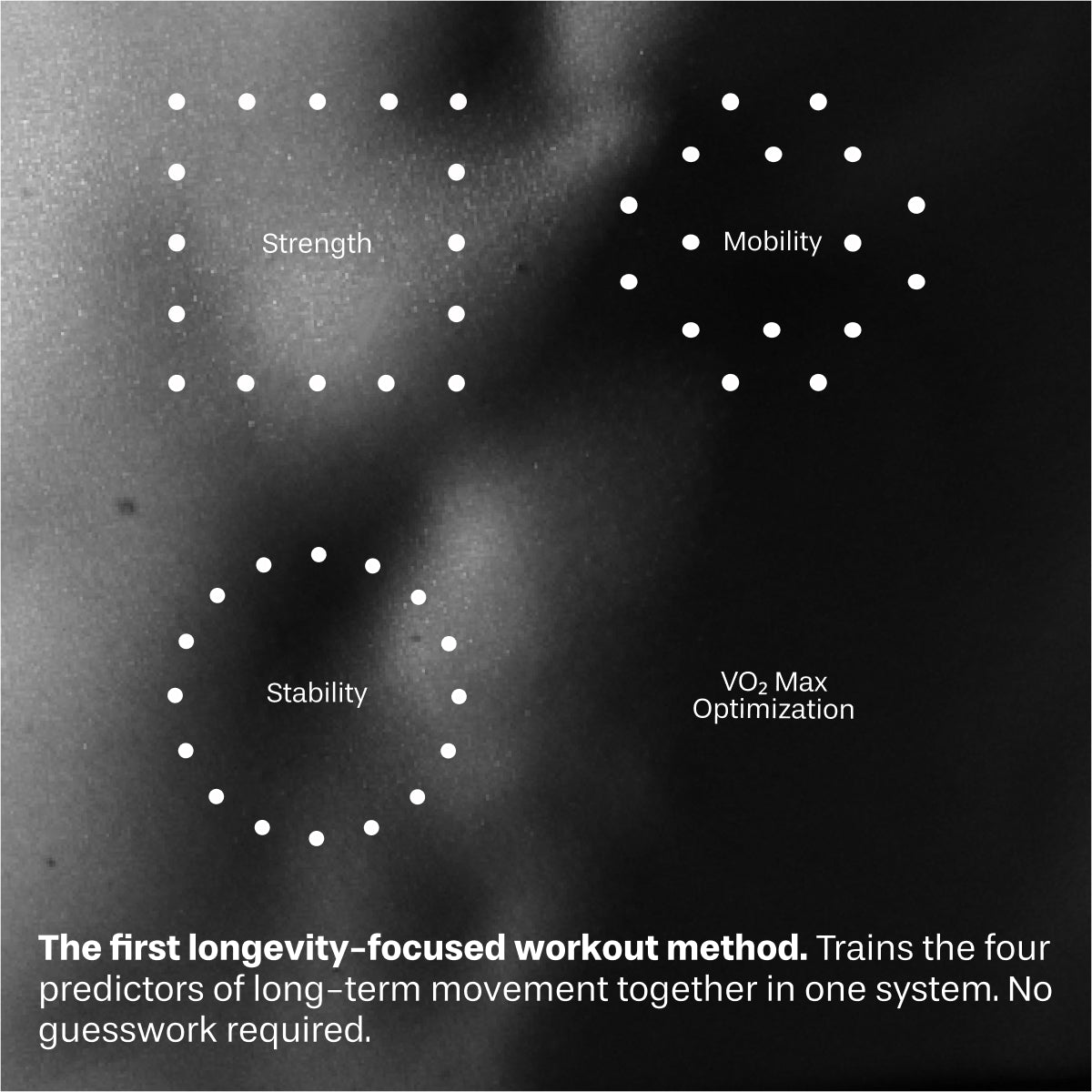 Total Transformation Bundle