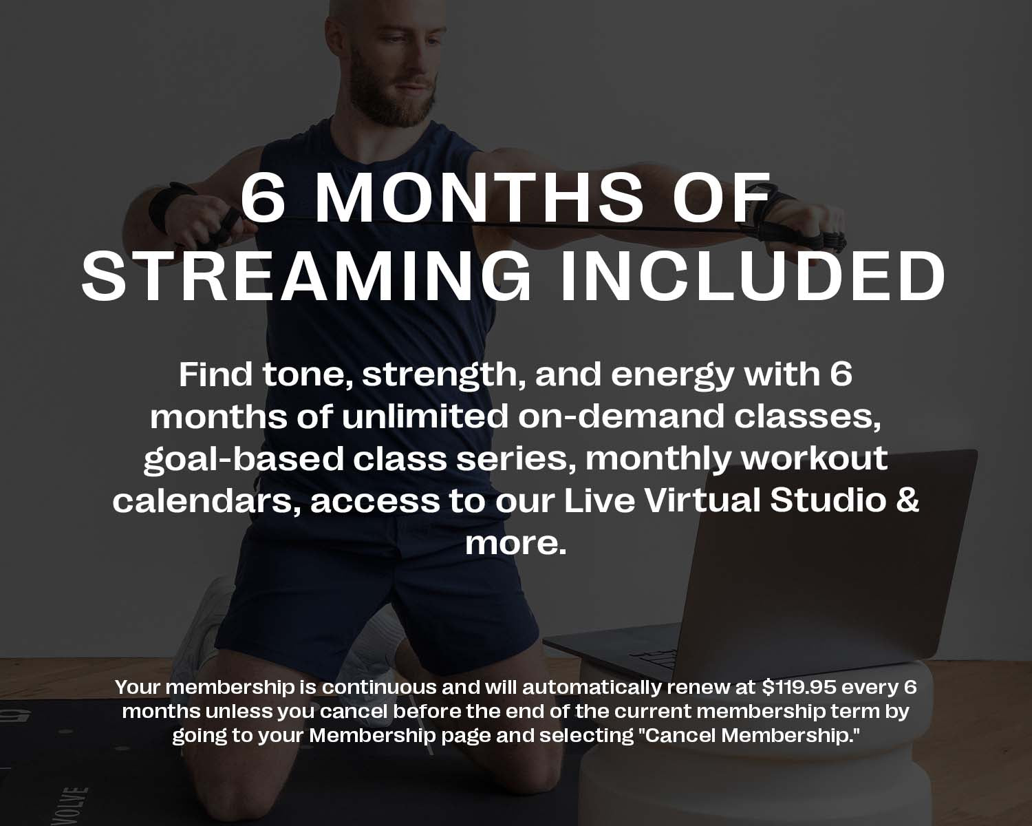 Total Transformation Bundle